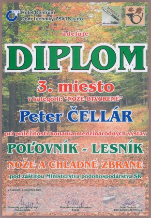 Diplom 2009